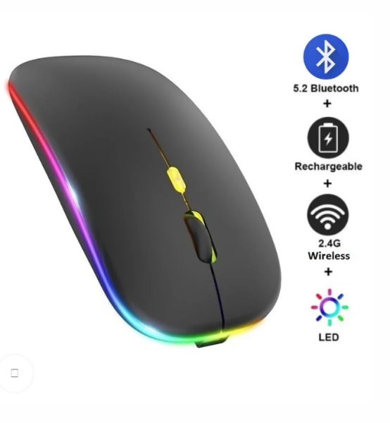 Souris rechargeable HP W10